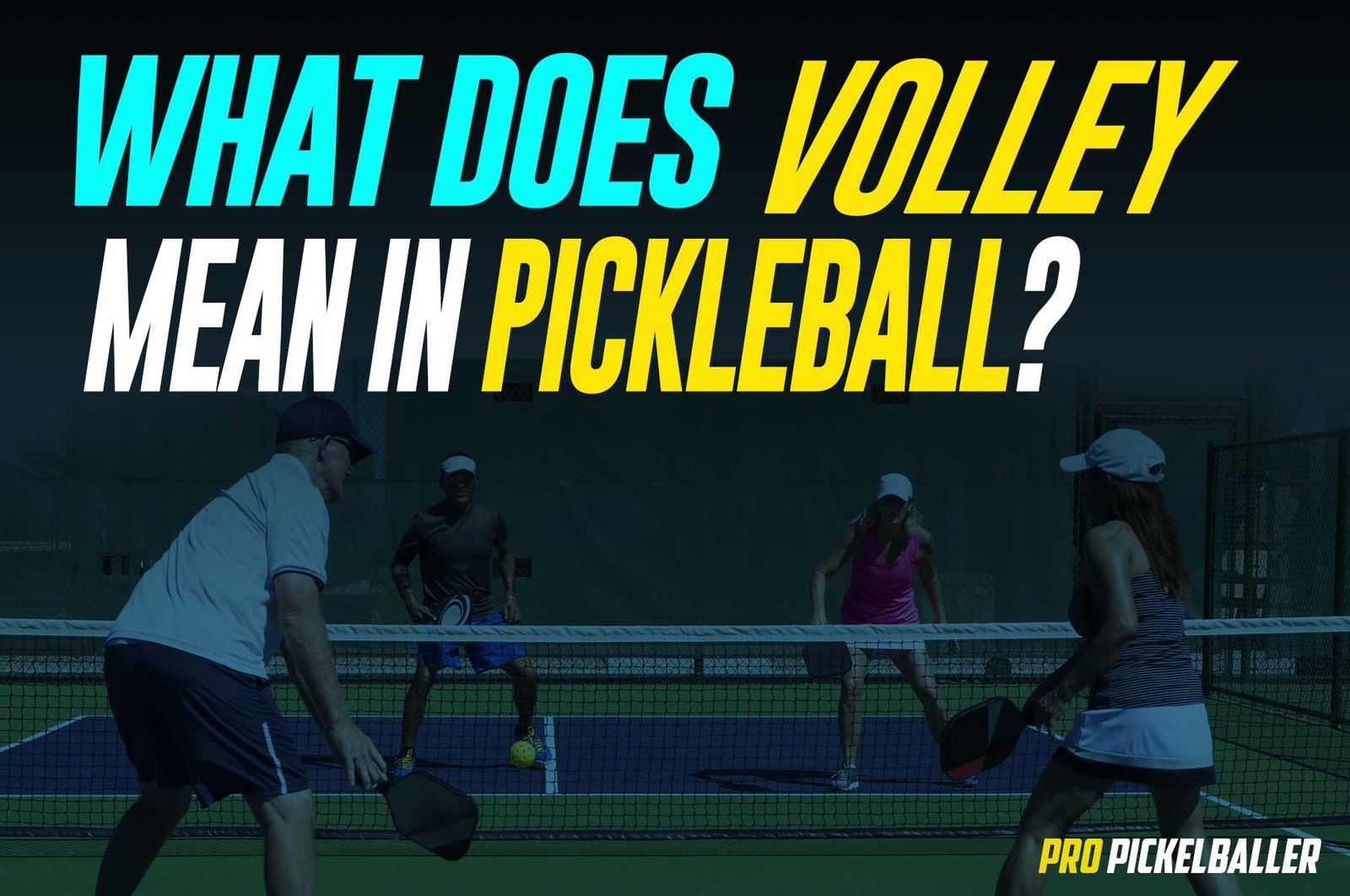 What Does Volley Mean In Pickleball? An InDepth Look At The Volley