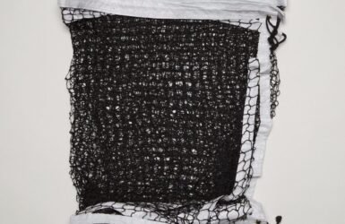 Net Gains: Elevate Your Pickleball Game with Easy Attach Nets!