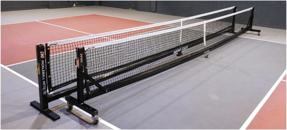 Serve Up Some Fun: C&D Qualifier Pickleball Net Review!