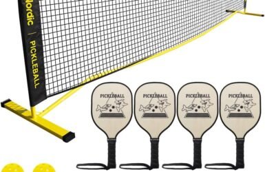 Net Gains: The Ultimate Portable Pickleball Experience for Family Fun!