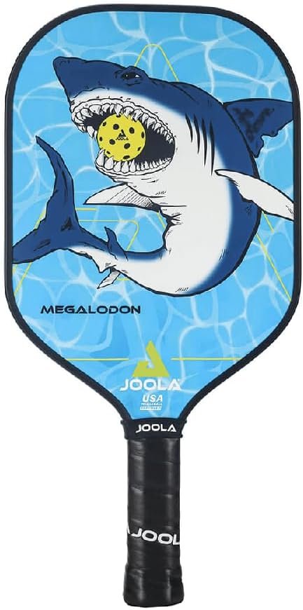 Smash It with Style: The JOOLA Pickleball Paddle Review!