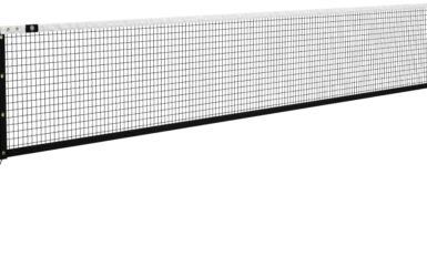 Dominator In Ground Pickleball System: Elevate Your Game with Rust-Free Precision!