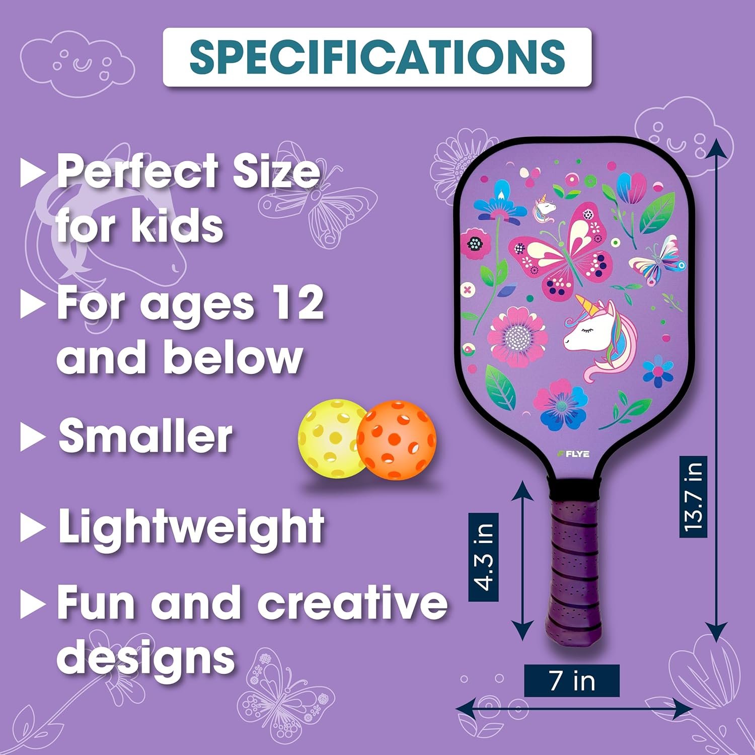 Kids Pickleball Set Image