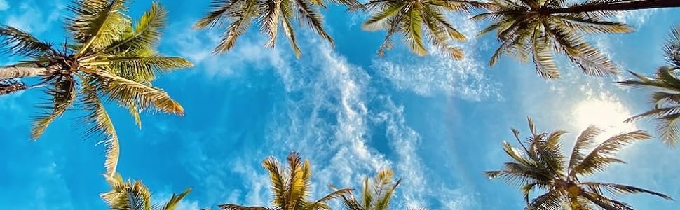 SWEET TANG Visor Cap