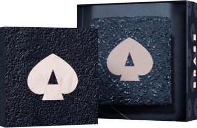 ACE Pickleball Paddle Cleaner: Your Paddle's Best Friend for a Pristine Play!