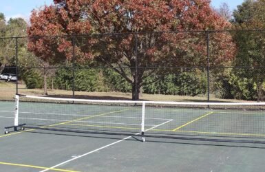 Get Set to Serve: A Review of the Deluxe Pickleball Line Set!