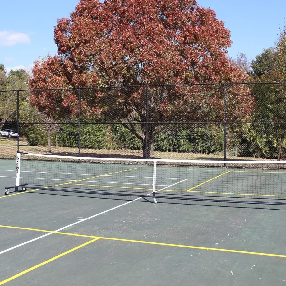 Get Set to Serve: A Review of the Deluxe Pickleball Line Set!