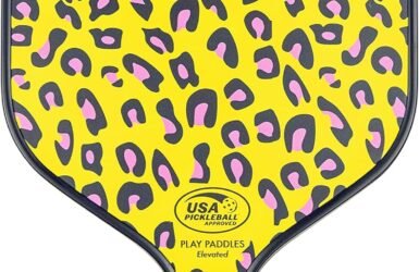 Serve Up Smiles: A Review of the USAPA Approved Pickleball Paddle!