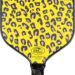 Serve Up Smiles: A Review of the USAPA Approved Pickleball Paddle!