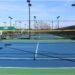 Spike It Right: A Review of the Oncourt Offcourt Volleyball Net System!