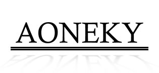 Aoneky Pickleball Net