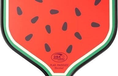 Serve Up Fun with the Ultimate Pickleball Paddle: The Game-Changing USAPA Approved Racket!