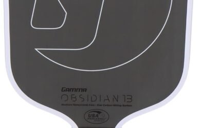 Unleash Your Game: A Deep Dive into the GAMMA First Version Obsidian Pickleball Paddle!