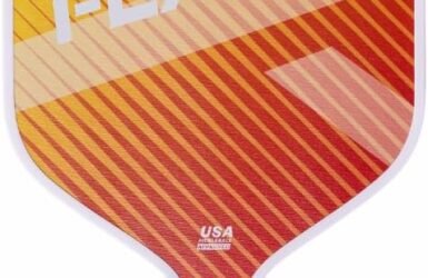 Rally Flare Graphite Pickleball Paddle: The Ultimate Game-Changer for 2025 and Beyond!